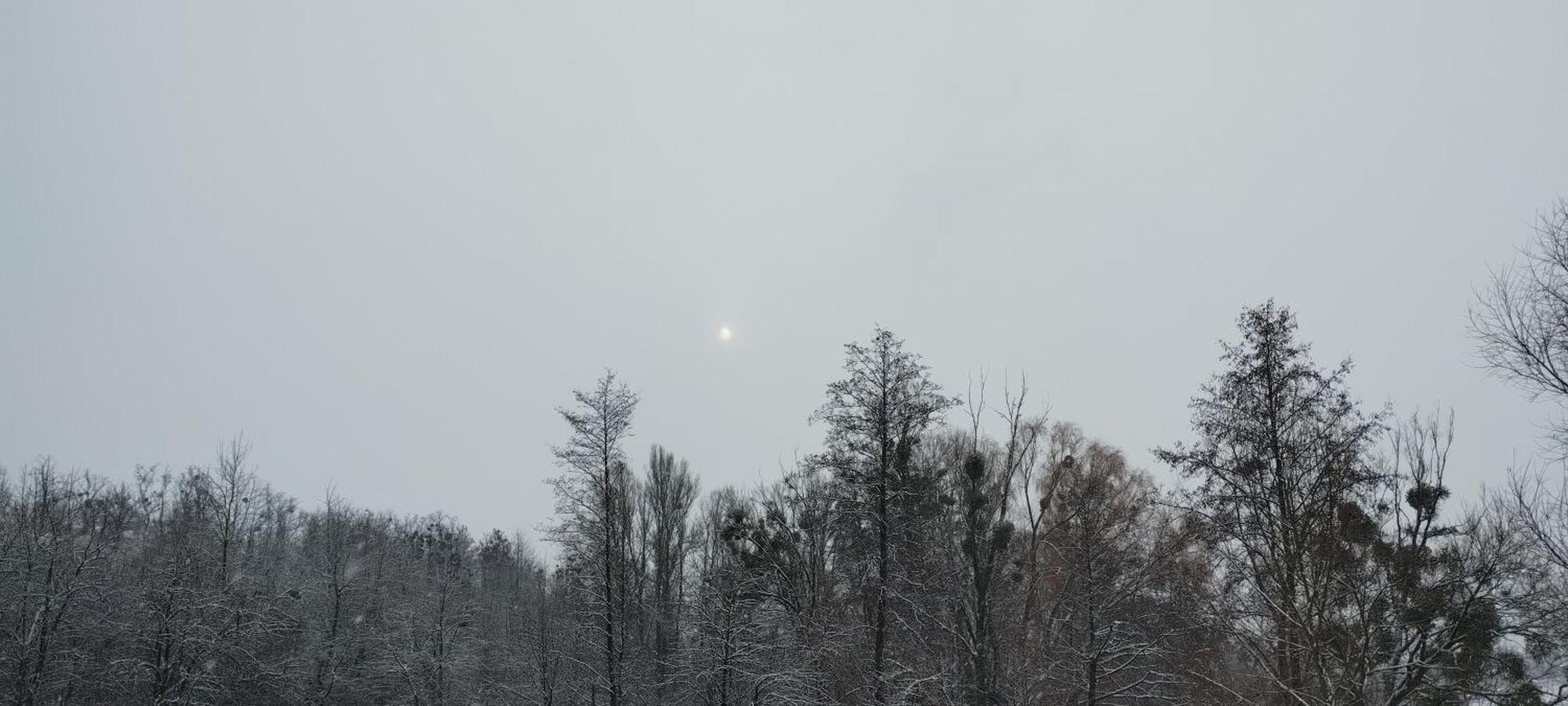 Шафран Hotel Krasnaya Slobodka Luaran gambar